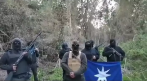 Resistance Territorial Mapuche (RTM) 